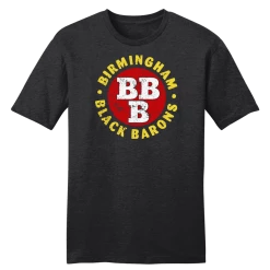 NLBM Birmingham Black Barons Sports