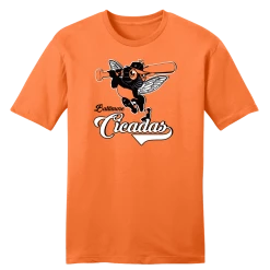 In The Clutch Cities The Baltimore Cicadas Baseball Team