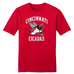 In The Clutch Cities The Cincinnati Cicadas Baseball Team